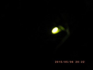 20150506{^.jpg