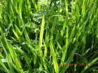 20240502LVEu.JPG