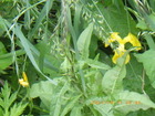 20240511LVEu.JPG