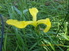 20240517LVEu.JPG