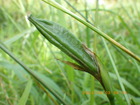 20240603LVEu.JPG