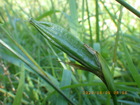 20240605LVEu.JPG