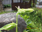 2024_05_05u.JPG