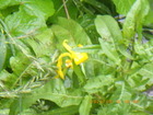 2024_05_12ILVEu.JPG