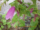 2024_05_31z^uN.JPG