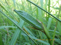 2024_06_07LVEu.JPG