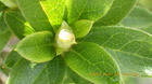 20250325ccW.JPG