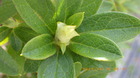 20250329ccW.JPG