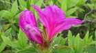 20250420ccW.JPG