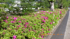 20250424ccW.JPG
