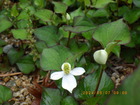 ǂ0507.JPG