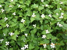 ǂ0516.JPG