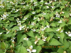 ǂ0602.JPG