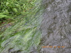LVEu0513.JPG