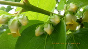 `J511.JPG