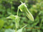 u0507.JPG