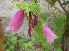 u0602.JPG