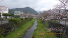 IMGP4860328.JPG