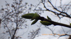 IMGP4865`328.JPG