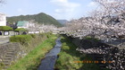 IMGP5103330.JPG