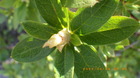 IMGP5774.JPG