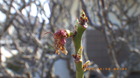 IMGP5785~44.JPG