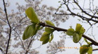 IMGP6097`45.JPG