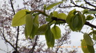 IMGP6845`410.JPG