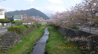 IMGP6988411.JPG