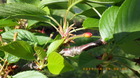 IMGP8350421.JPG