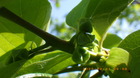 IMGP8358`421.JPG