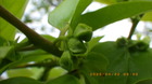 IMGP8582`422.JPG