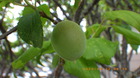 IMGP8585~422.JPG