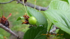 IMGP8687423.JPG