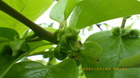 IMGP8695`423.JPG
