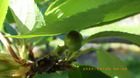 IMGP9728429.JPG