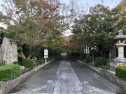 IMG_2514.JPG