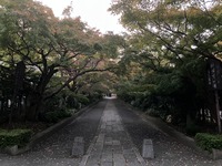IMG_2559.JPG