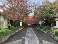 IMG_2600.JPG