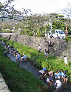 horyu04.jpg