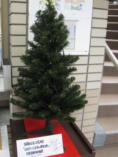 tree2016 (5).jpg